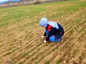 Afyon Başmakçı'da Tarım Kontrolü